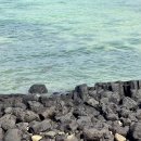 솔지카페 이미지