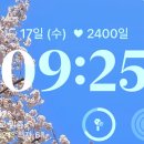 4월은 공부와 벚꽃의 달 일상 포덤 Photodump