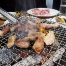 참갈매기&뽈살 이미지