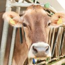 소정목장 이미지