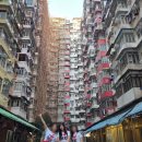 북경루 | 홍콩맛집 북경루 페킹가든 센트럴점 예약없이 워크인성공과 베이징덕 후기