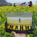 제주크랩잭