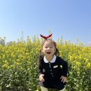 용정공원 견학 이미지