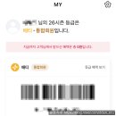 그린P(플라스틱) | 소비(랜더스멤버십,무인양품바인더·노트·파우치,그린블리스양말,파이롯트카쿠노만년필,다이소인덱스...