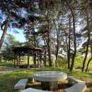 자동차 정기 검사 이미지