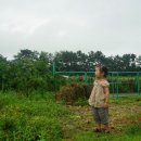 에덴농장2 이미지