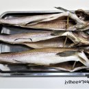 보령센터-050 이미지