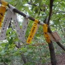 큰개마을 이미지