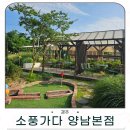 양남 | 경주 양남 카페 소풍가다 경주양남본점 방문 후기