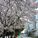 속초사잇길 제1길 이미지