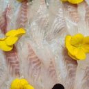 무조건회수산 이미지