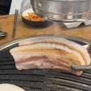 도도한돼지 이미지