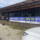 평택식품 이미지
