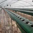 옥분농장 이미지