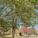 성호목장 이미지