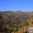 오장전자 이미지