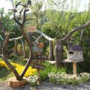 맹골마을 이미지