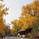 명륜당