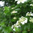 태평농장 이미지