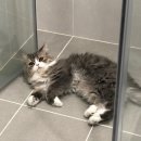 문현동물병원 이미지