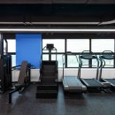 포인티PT 이미지