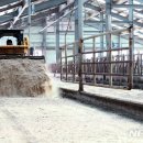 한우사육사 이미지