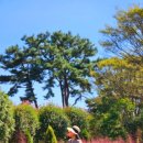 홍가농장 이미지