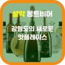 하나비어 이미지