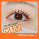 배럴닷 | 야탑 속눈썹 배럴닷 자연스러운 속눈썹펌 솔직후기