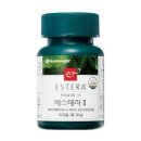 에스테라 이미지