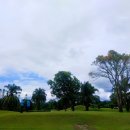 태국골프 그린월드 소식지 이미지