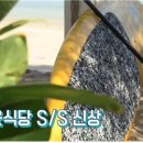 홍학장갑 이미지