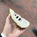 죠아저씨치킨 | 🇭🇰 홍콩여행 3일차 | 란퐁유엔 소호점, 베이크하우스, 초이홍아파트, 팀호완, 디즈니랜드, 힝키레스토랑