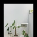 니어앤디어 이미지