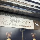 커뮤니캣 고양이 호텔&미용실 | 인천고양이미용 호텔링 스파까지 가능한 검단 행복한고양이