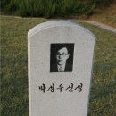 (소설) 단장의 미아리고개/이승하 이미지