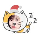 신도약국 이미지