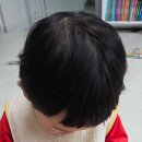 동화극장 | 두두스토리 그림자 극장 전래동화 16개월 - 19개월 후기 장점, 단점 전부 공유