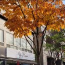 헤어하우스(HAIR HOUSE) 이미지