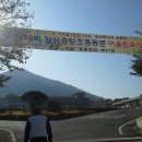 장성중앙초등학교 이미지