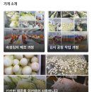 파스토보이안산 | 23.02월 안산고잔동맛집 '찜부심'-숙성목살김치찜 안산배달맛집