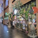 주식회사 테이블에이 고양이카페 | 인천송도 테이블에이 앤 로우캣 아이랑가볼만한곳 내돈내산 솔직후기(동물먹이주기체험하기)