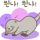 한상차림 코다리명가 이미지