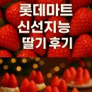 신선마트 | 롯데마트 신선지능 딸기 후기 | 올겨울 딸기 이렇게까지 신선해?