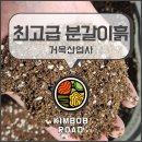<흙 속의 숨결> | 최고급 분갈이흙 l 실내 화분 겨울나기 전 거목산업사 분갈이흙 사용후기