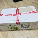 땅끝농장 | 농장직송 유기농리치팜 꼬꼬마 양배추 :: 신선한 양배추 보관법 양배추 맛있게 먹는 법