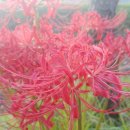 여산농장 이미지