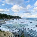 죽변 공설시장 이미지