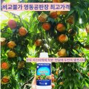 명전바이오(주) | 영동복숭아 농사엔 시스타액제 후기