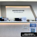 용원중앙내과의원 네이버블로그